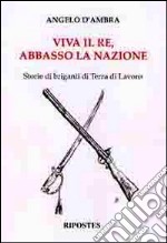 Viva il re, abbasso la nazione. Storie di briganti in terra di lavoro