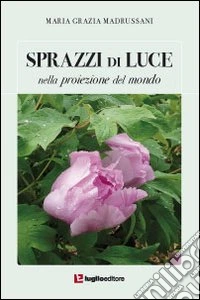 Sprazzi di luce nella poriezione del mondo libro