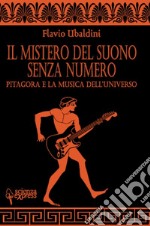 Il mistero del suono senza numero libro