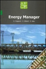 Energy manager. Ediz. italiana