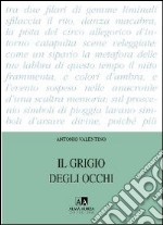 Il grigio degli occhi