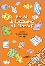 Dov'è il taccuino di Ilaria? libro