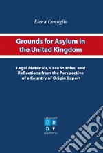 Grounds for asylum in the United Kingdom. Legal materials, case studies, and reflections from the perspective of a country of origin expert