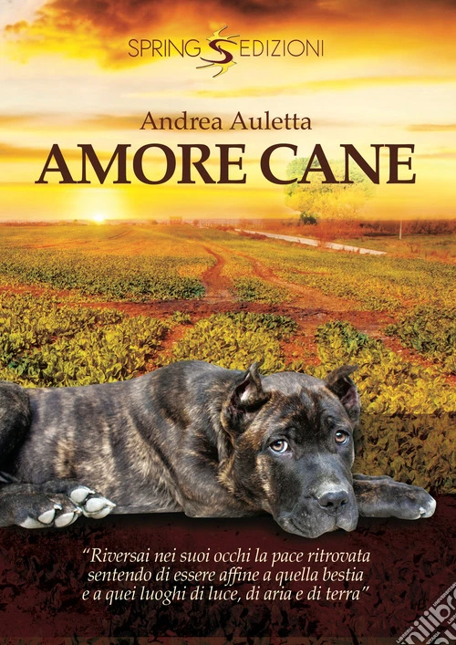 Amore cane