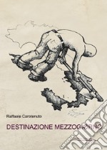 Destinazione Mezzogiorno libro