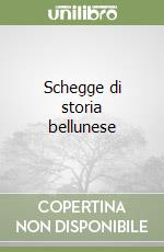 Schegge di storia bellunese libro