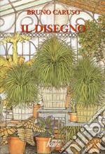 Il disegno libro