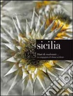 Sicilia. Diari di vendemmie... in compagnia di donne siciliane. Ediz. illustrata libro