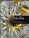 Sicilia. Diari di vendemmie... in compagnia di donne siciliane. Ediz. illustrata libro