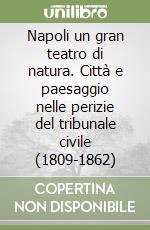 Napoli un gran teatro di natura. Città e paesaggio nelle perizie del tribunale civile (1809-1862) libro