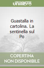 Guastalla in cartolina. La sentinella sul Po libro