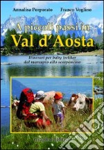 A piccoli passi in Val d'Aosta. Itinerari per baby trekker dal marsupio allo scarponcino libro