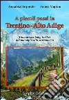 A piccoli passi in Trentino-Alto Adige. Itinerari per baby trekker dal marsupio allo scarponcino libro