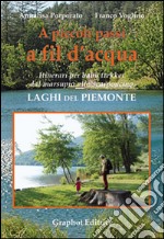 A piccoli passi a fil d'acqua. Laghi del Piemonte. Itinerari per baby trekker dal marsupio allo scarponcino libro