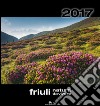 Calendario Friuli. Natura da vivere 2017 libro