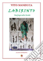 Labirinto. Naufragio nella sanità libro