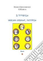 Il Settebello. Gabbiano ubriacone, pazzerello libro