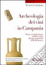 Acheologia dei vini in Campania. Storie e testimonianze della bevanda che ha conquistato il Mediterraneo