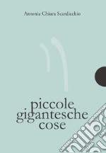 Piccole gigantesche cose libro