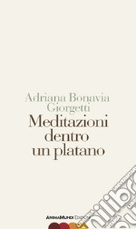 Meditazioni dentro un platano libro