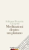 Meditazioni dentro un platano libro