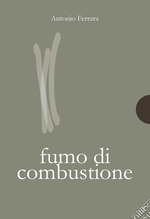 Fumo di combustione