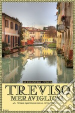 Treviso meravigliosa. Storie quotidiane della città gioiosa libro