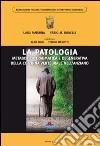 La patologia metabolica traumatica e degenerativa della colonna vertebrale nell'anziano libro