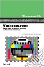 Videoculture. Storia, teorie ed esperienze artistiche dell'audiovisivo sperimentale. Ediz. illustrata libro