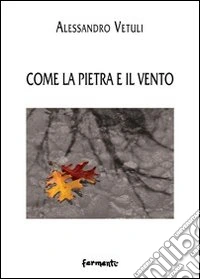 Come la pietra e il vento libro