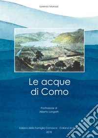 Le acque di Como