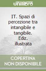 IT. Spazi di percezione tra intangibile e tangibile. Ediz. illustrata libro