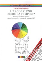 L'arcobaleno. Oltre la tempesta. La meditazione familiare dopo l'entrata in vigore delle unioni civili libro