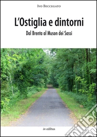 Ostiglia e dintorni. Dal Brenta al Muson dei Sassi libro