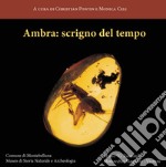 Ambra: scrigno del tempo. Ediz. illustrata