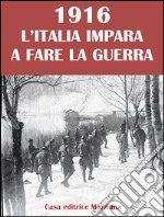 1916. L'Italia impara a fare la guerra libro