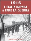 1916. L'Italia impara a fare la guerra libro