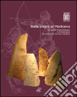 Dalle origini al Medioevo. Le sezioni paleontologica e archeologica del museo del territorio biellese libro