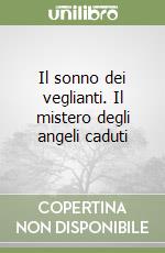 Il sonno dei veglianti. Il mistero degli angeli caduti libro