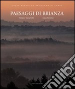 Paesaggi di Brianza. Continuità e trasformazioni della collina e della pianura comasca. Ediz. illustrata libro