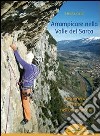 Arrampicare nella Valle del Sarca. L'esperienza del ritmo nell'arrampicata libro