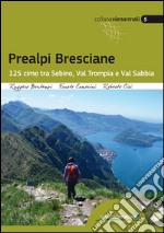 Prealpi bresciane. 125 cime tra Sebino, Val trompia e Val Sabbia libro