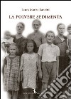 La polvere sedimenta libro