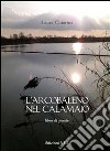 L'arcobaleno nel calamaio libro