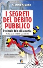 I segreti del debito pubblico. I veri motivi della crisi economica libro