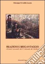 Reazioni e brigantaggio. Alcune vicende del contado di Molise libro