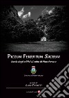 Piczum ferratum sacrum. Storia degli edifici di culto di Pizzoferrato libro di Cicchitti Luigi