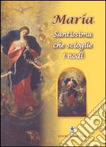 Maria Santissima che scioglie i nodi libro