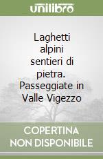 Laghetti alpini sentieri di pietra. Passeggiate in Valle Vigezzo libro