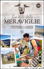 La valle delle meraviglie libro